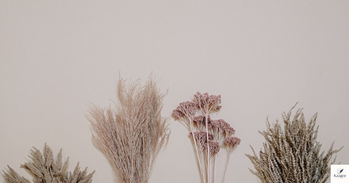One Line Bio for Instagram: 200 Short, Cool & Unique Ideas